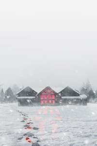 Snow Falls - Posters
