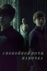 Goodnight Mommy - Poster
