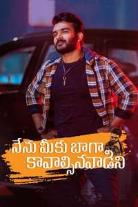 Nenu Meeku Baaga Kavalsinavaadini - Poster