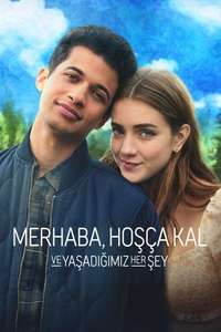 Hello  Goodbye and Everything In Between - Poster
