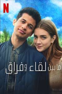 Hello  Goodbye and Everything In Between - Poster