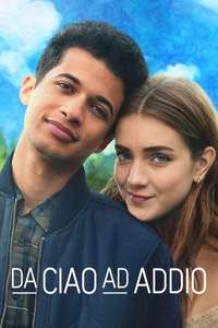 Hello  Goodbye and Everything In Between - Poster