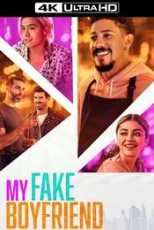 My Fake Boyfriend
