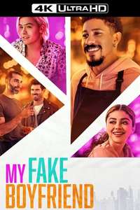 My Fake Boyfriend - Poster