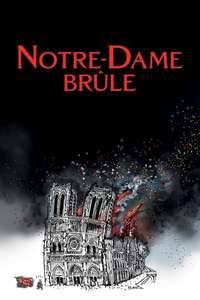 Notre-Dame on Fire - Poster