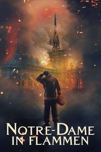 Notre-Dame on Fire - Poster