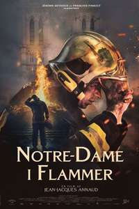 Notre-Dame on Fire - Poster