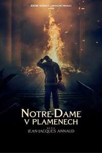 Notre-Dame on Fire - Poster