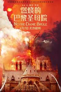 Notre-Dame on Fire - Poster