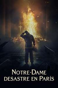Notre-Dame on Fire - Poster