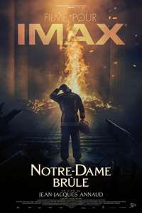 Notre-Dame on Fire - Poster