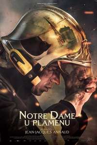 Notre-Dame on Fire - Poster
