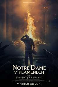 Notre-Dame on Fire - Poster