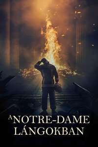 Notre-Dame on Fire - Poster