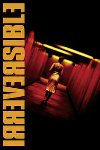 Irreversible - Poster
