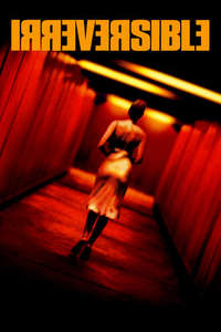 Irreversible - Poster