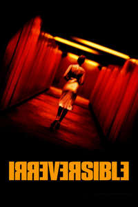 Irreversible - Poster