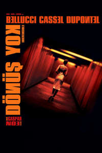 Irreversible - Poster