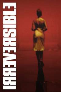 Irreversible - Poster