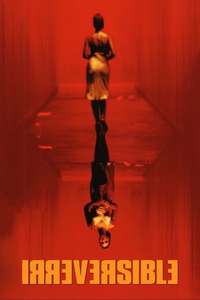 Irreversible - Poster