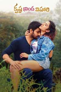 Krishna Vrinda Vihari - Poster