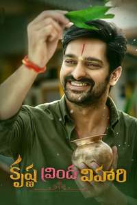 Krishna Vrinda Vihari - Poster