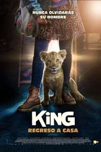 King - Poster