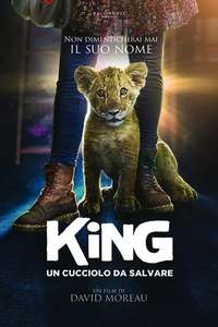 King - Poster