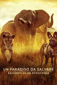Surviving Paradise: A Family Tale - Poster