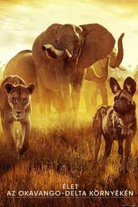Surviving Paradise: A Family Tale - Poster