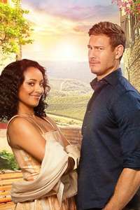 Love in the Villa - Poster
