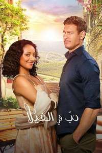 Love in the Villa - Poster