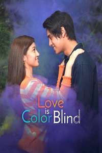 Love is Color Blind - Poster