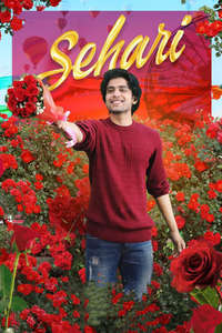 Sehari - Poster