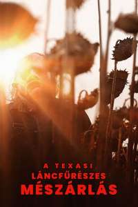 Texas Chainsaw Massacre - Poster