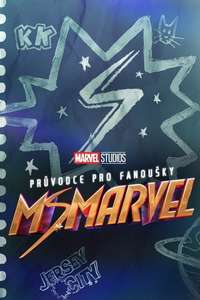 A Fan's Guide to Ms. Marvel - Posters