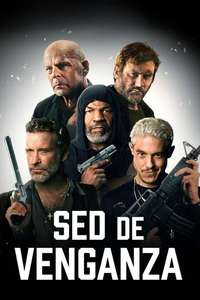 Vendetta - Poster
