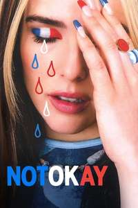 Not Okay - Posters