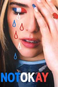 Not Okay - Posters