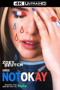 Not Okay - Posters