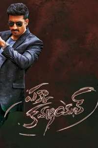 Pakka Commercial - Poster