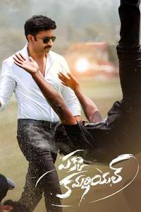 Pakka Commercial - Poster