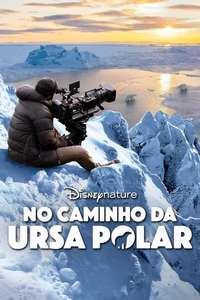 Bear Witness - Posters