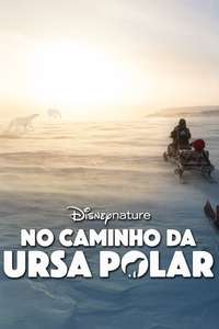 Bear Witness - Posters