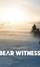 Bear Witness