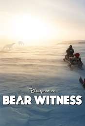 Bear Witness