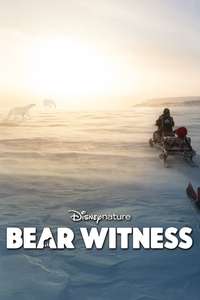 Bear Witness - Posters