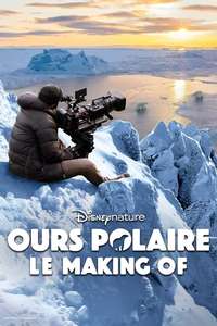 Bear Witness - Posters