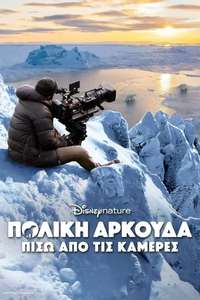 Bear Witness - Posters