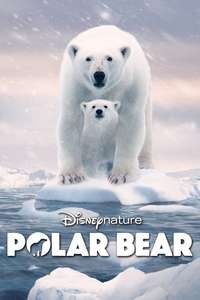 Polar Bear - Posters